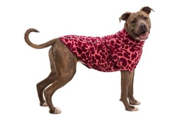 Ruffwear Climate Changer Fleece Jacket Berry Lava Gr. XXS